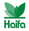 haifa